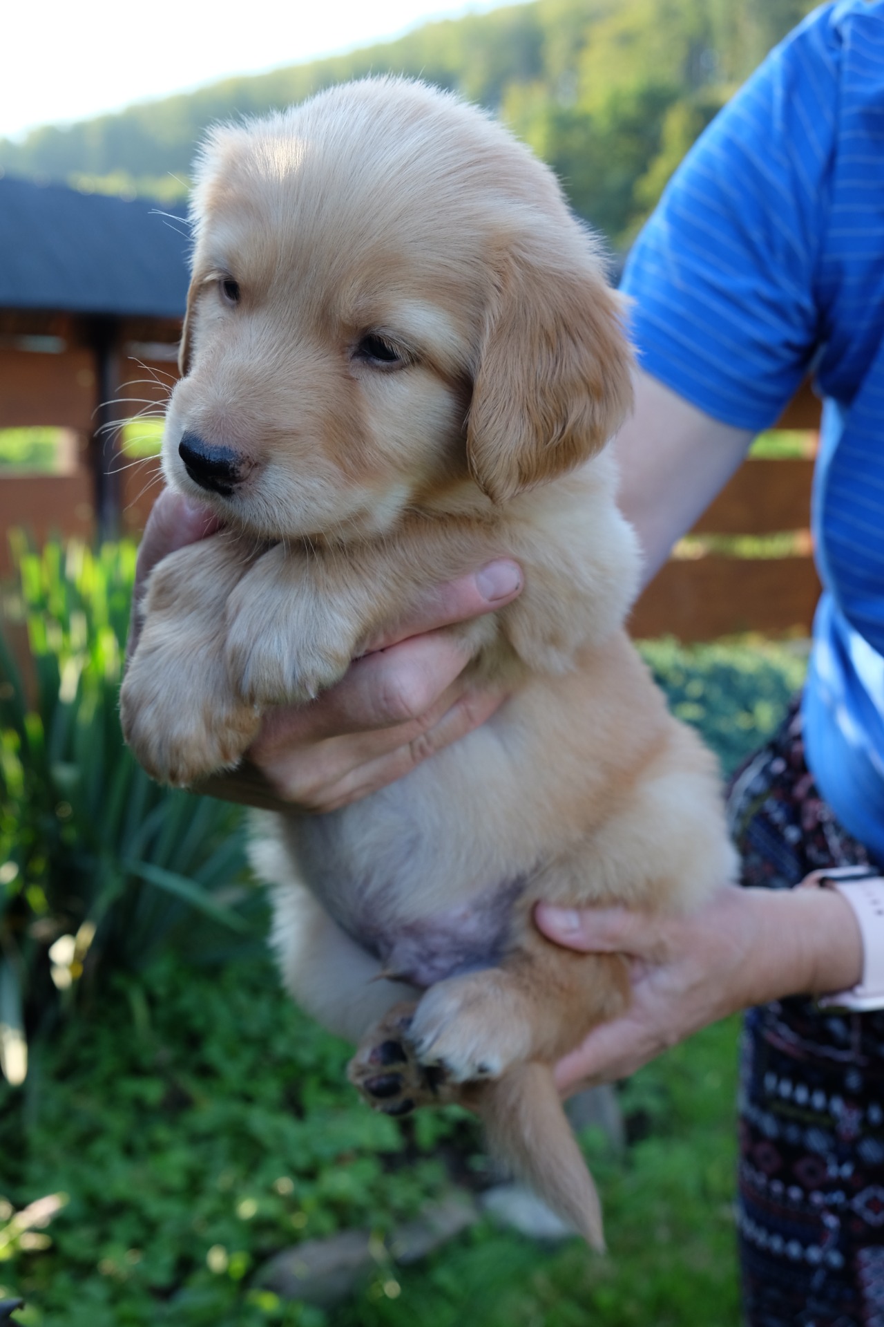 tam je něco důležitějšího