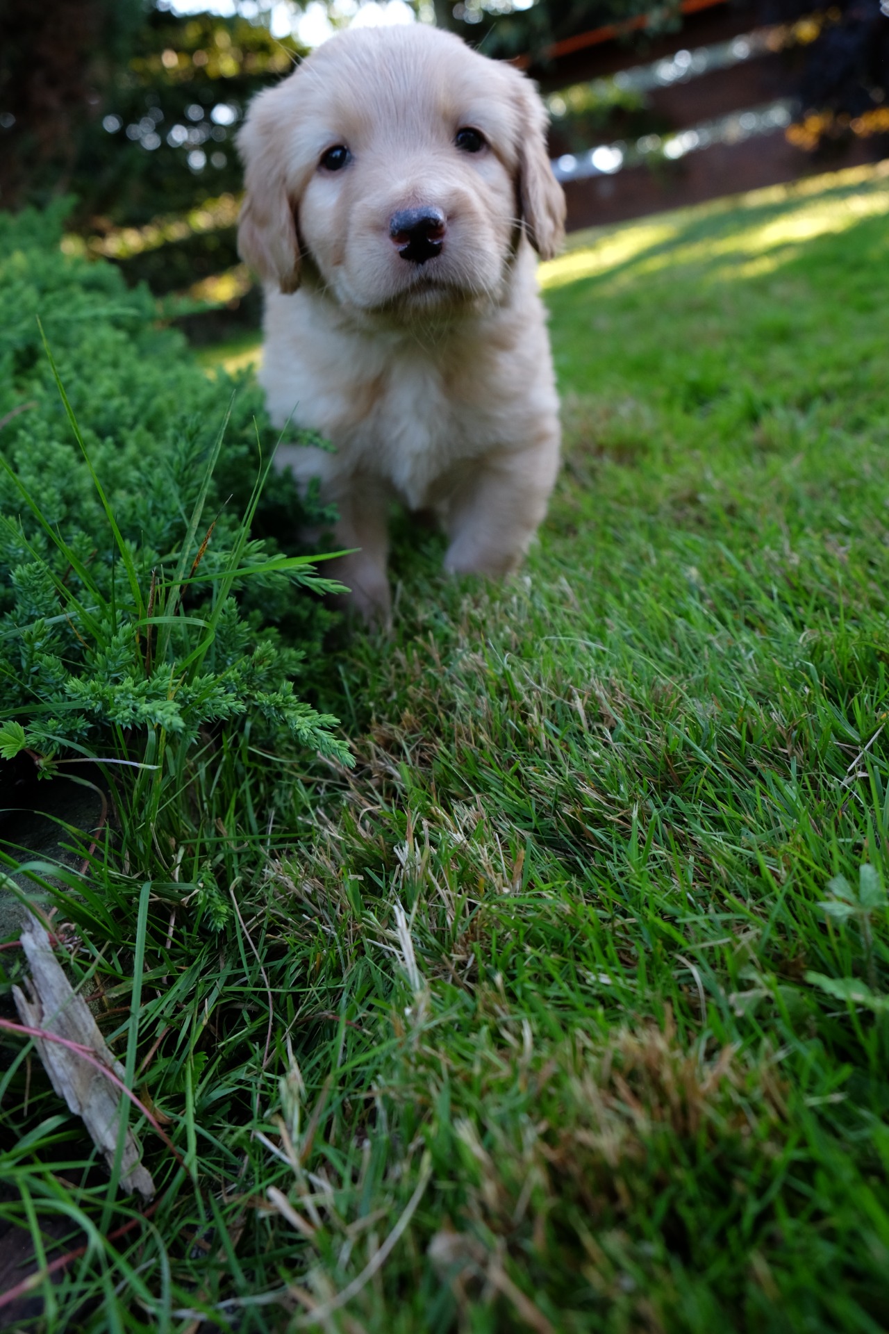 tak já si nakročím