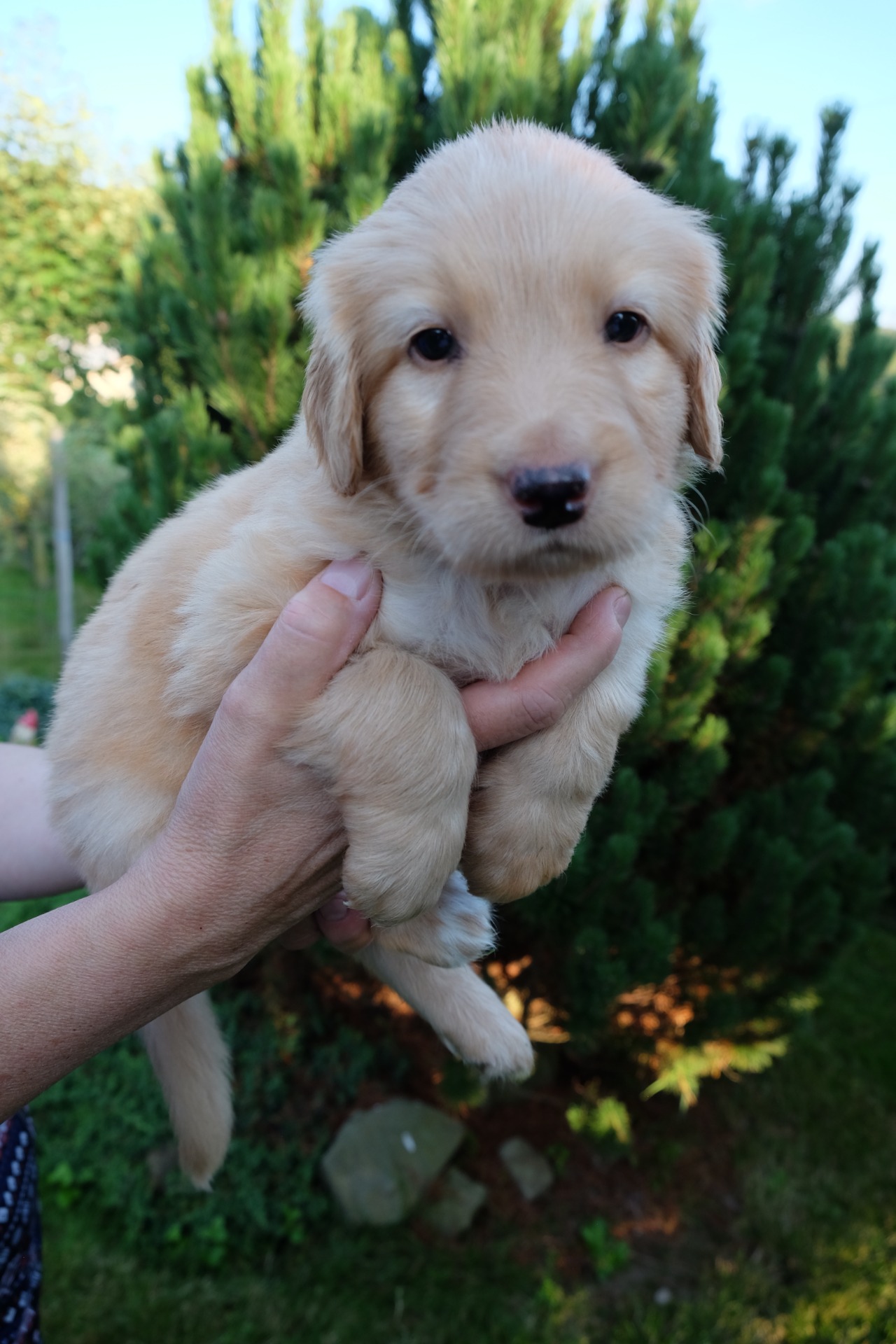 už mě pusťte na zem 