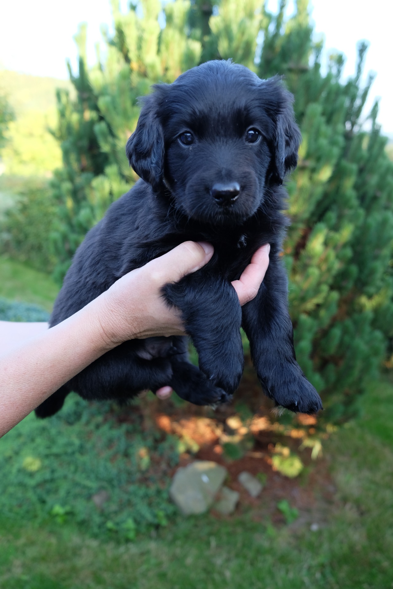 jsem dost roztomilý?