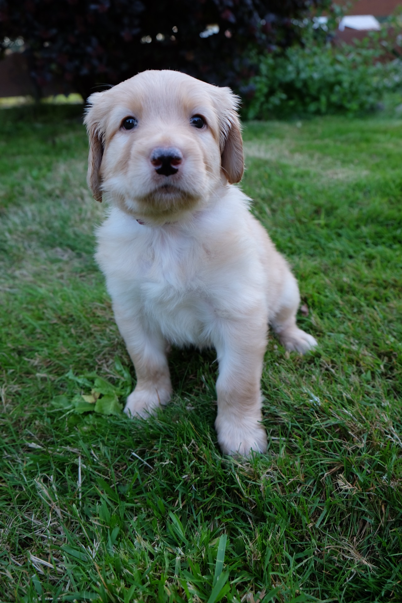 sedím a držím, chvilinku