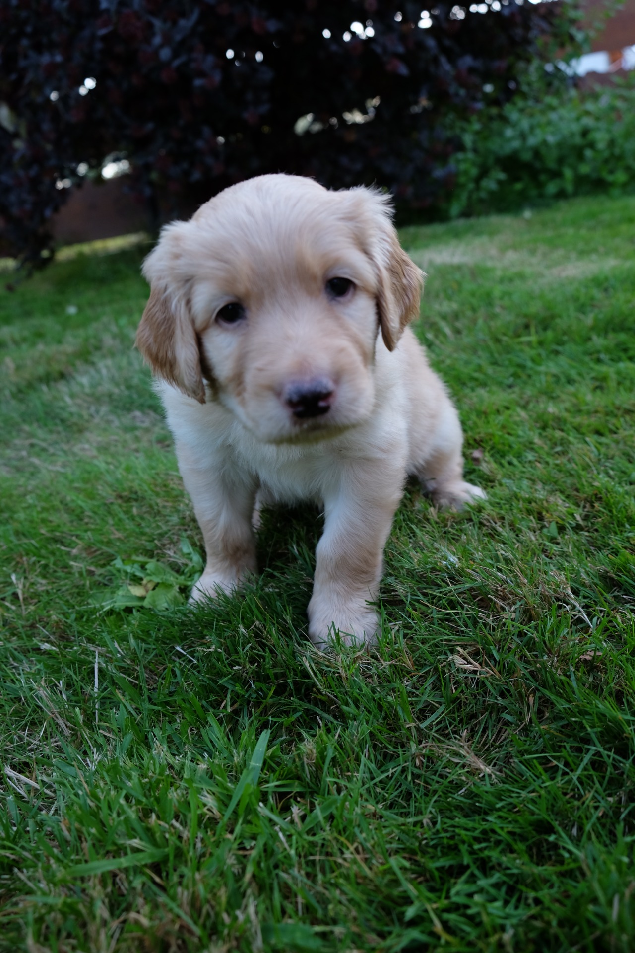 cože si to řekla?!