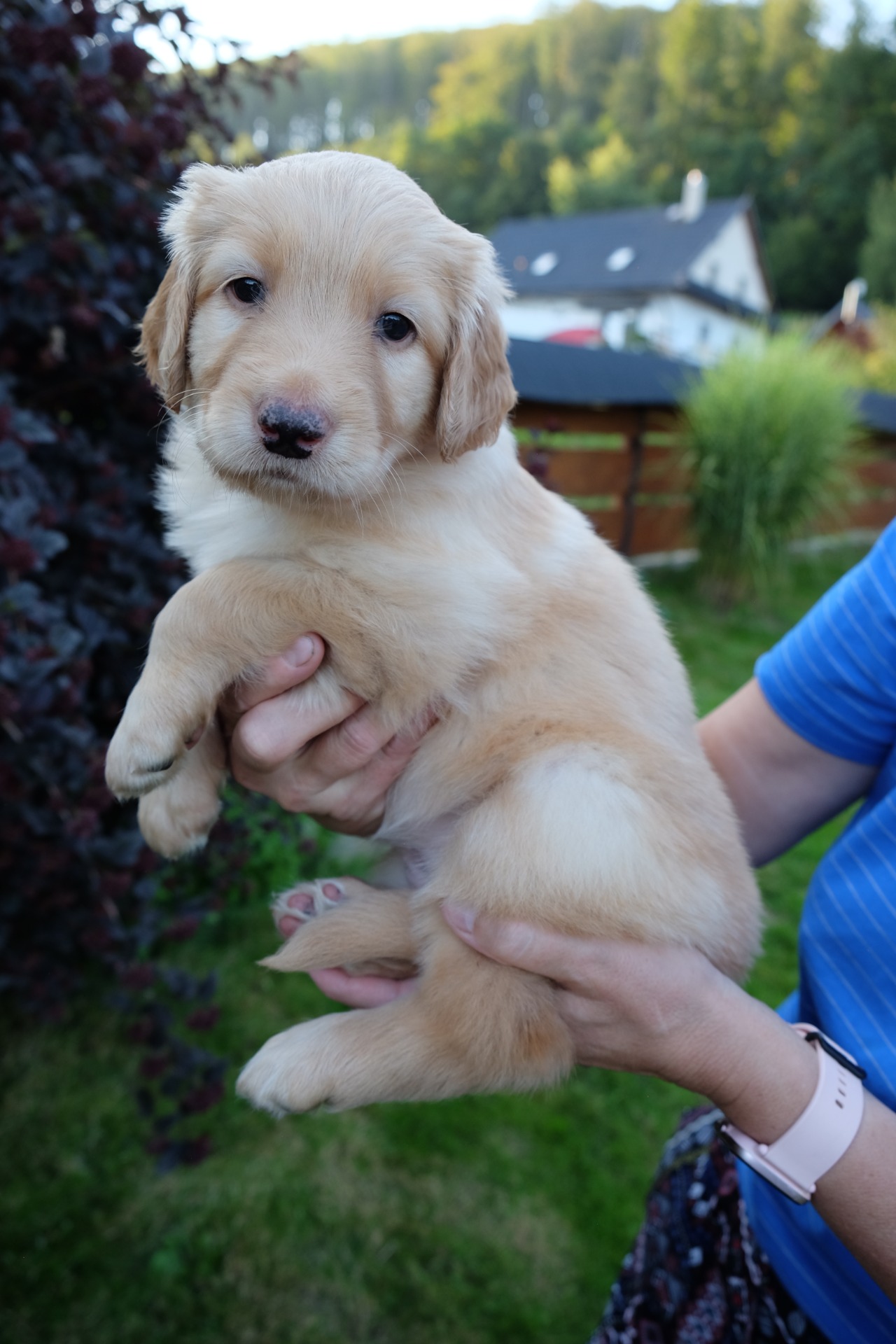 slečna Hyperaktivní