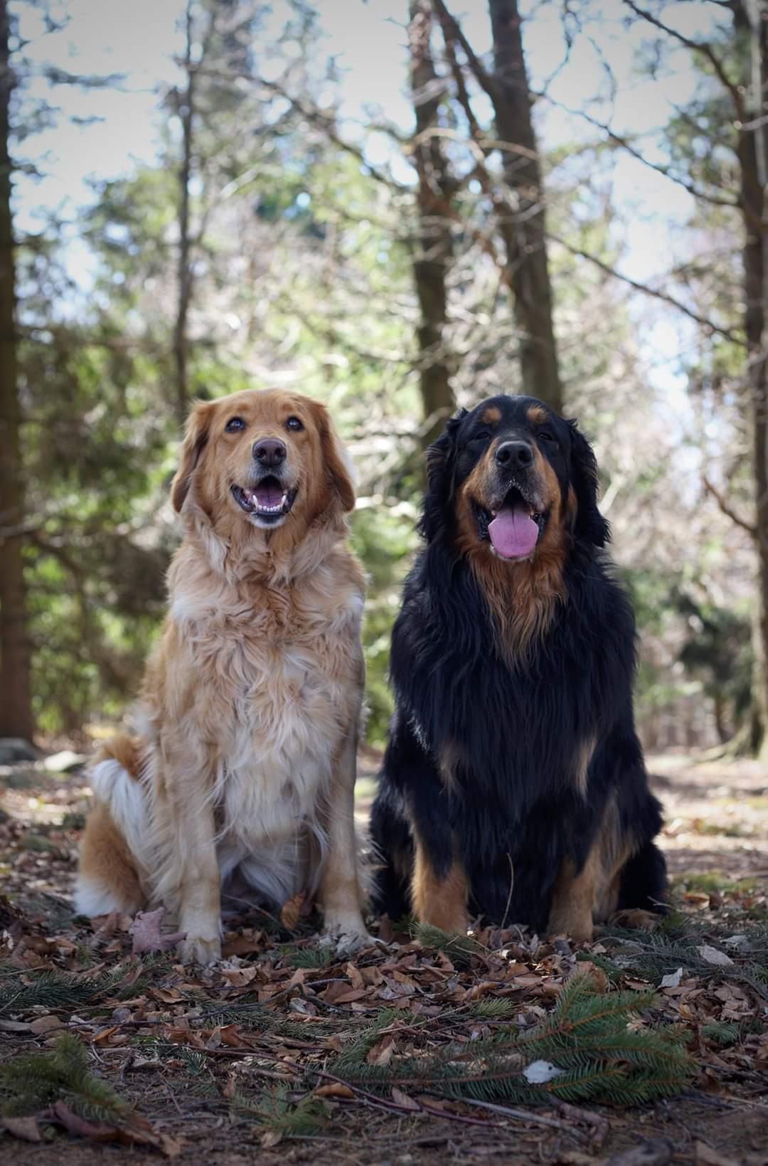 Kelčský Javorník, duben 2022