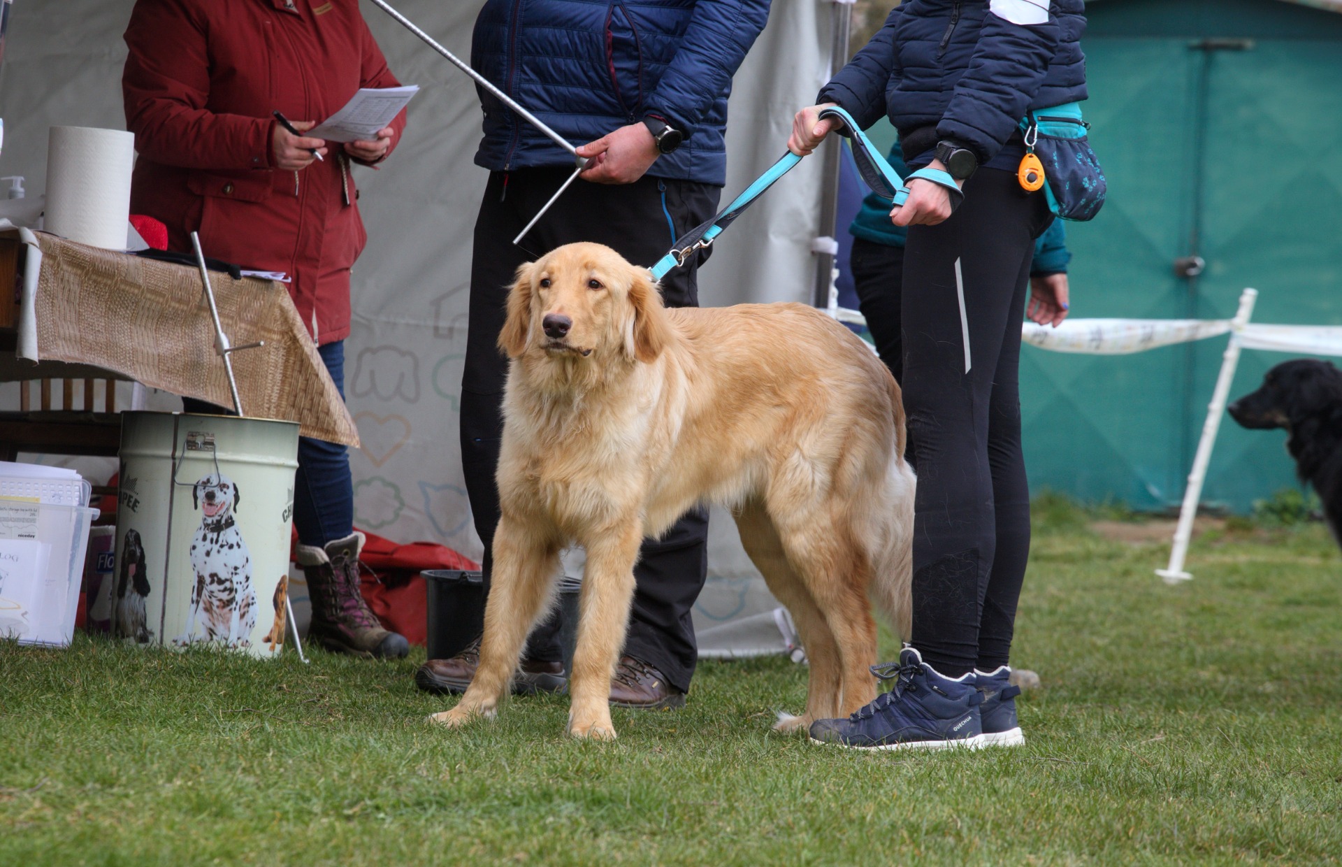 Artík zkoušel oči na paníčka, jestli ho zachrání :)